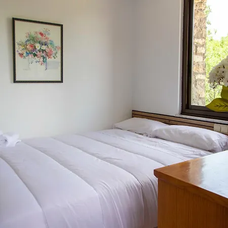 ホテル Batuecas 3*